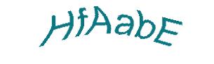 عبارت امنیتی