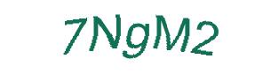 عبارت امنیتی