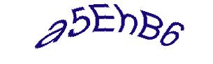 عبارت امنیتی