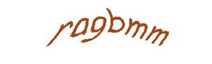 عبارت امنیتی