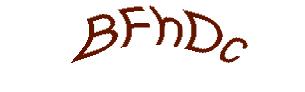 عبارت امنیتی