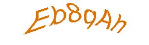 عبارت امنیتی