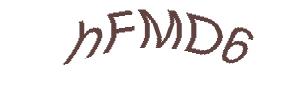 عبارت امنیتی