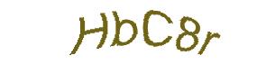 عبارت امنیتی