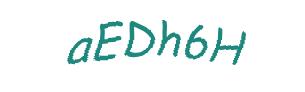 عبارت امنیتی