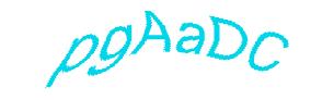 عبارت امنیتی
