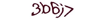 عبارت امنیتی