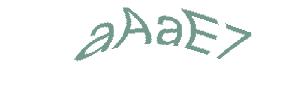 عبارت امنیتی