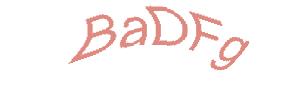 عبارت امنیتی