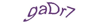 عبارت امنیتی