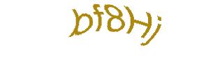عبارت امنیتی