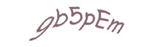 عبارت امنیتی