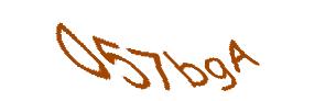 عبارت امنیتی