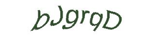 عبارت امنیتی