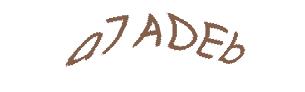 عبارت امنیتی