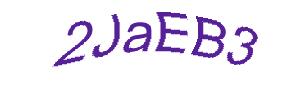 عبارت امنیتی