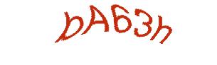 عبارت امنیتی
