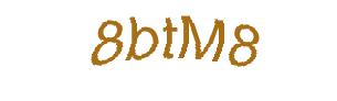 عبارت امنیتی