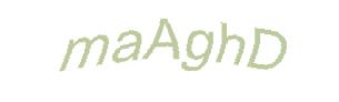 عبارت امنیتی
