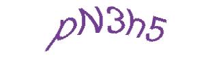 عبارت امنیتی