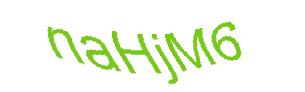 عبارت امنیتی