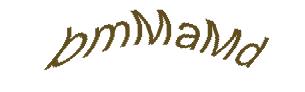 عبارت امنیتی