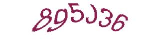 عبارت امنیتی