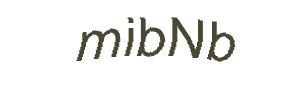 عبارت امنیتی