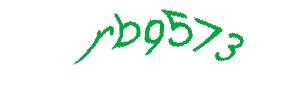 عبارت امنیتی