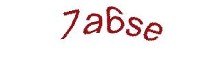 عبارت امنیتی