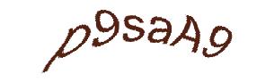 عبارت امنیتی