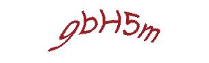 عبارت امنیتی