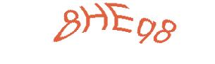 عبارت امنیتی