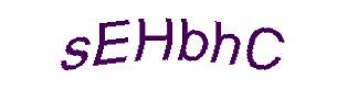 عبارت امنیتی