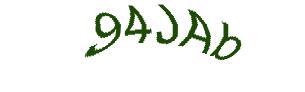 عبارت امنیتی