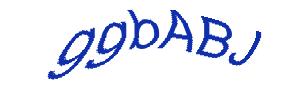 عبارت امنیتی
