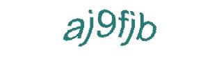عبارت امنیتی