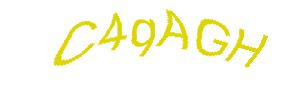 عبارت امنیتی