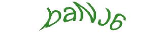 عبارت امنیتی
