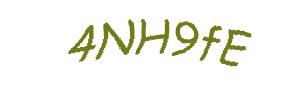 عبارت امنیتی