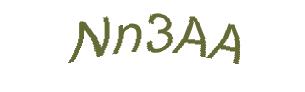 عبارت امنیتی
