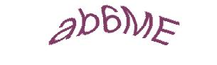 عبارت امنیتی
