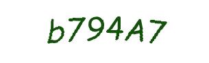 عبارت امنیتی