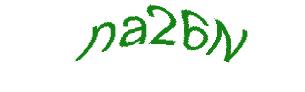 عبارت امنیتی