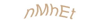 عبارت امنیتی