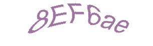 عبارت امنیتی