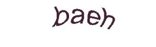 عبارت امنیتی