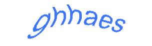 عبارت امنیتی
