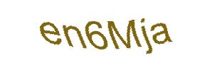 عبارت امنیتی