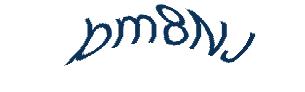 عبارت امنیتی